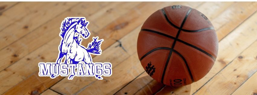 McDonough Mustangs logo and basketball