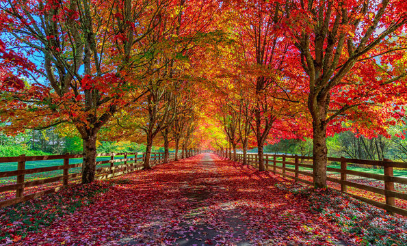 Fall
