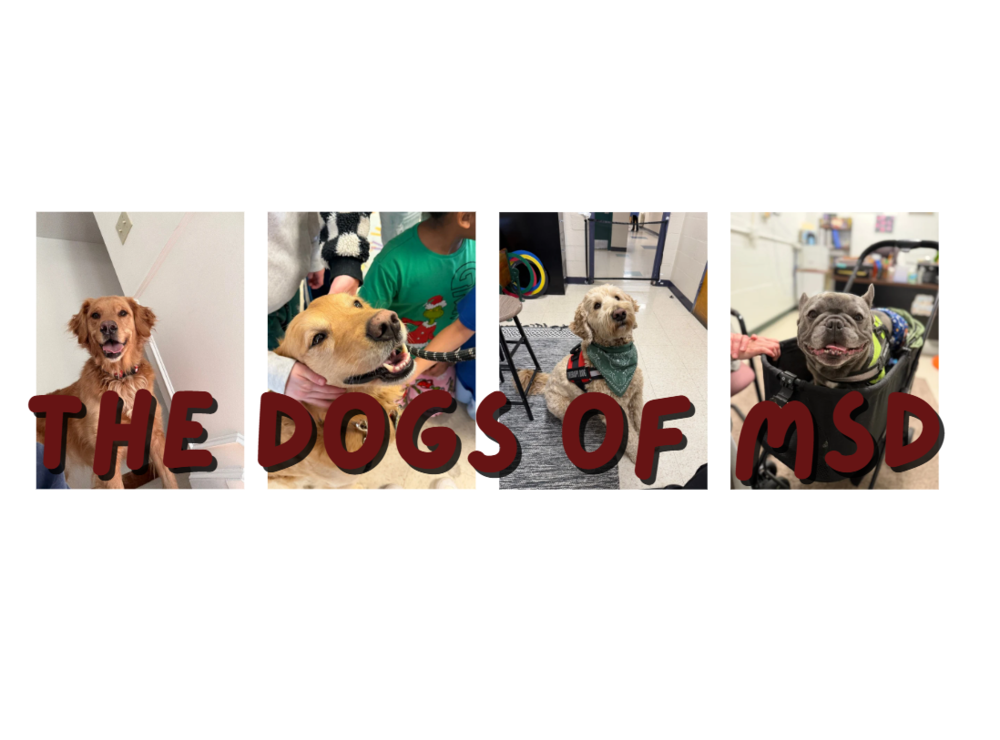 Dogs of MSD