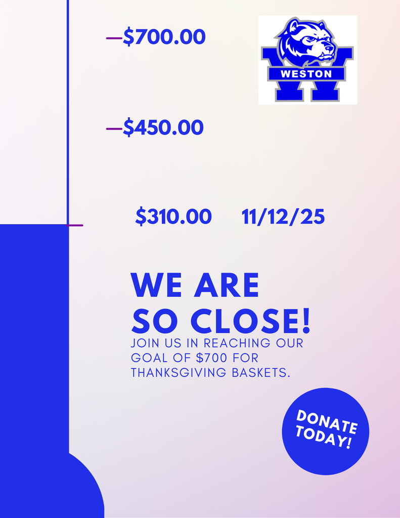 Fundraising Goal Form