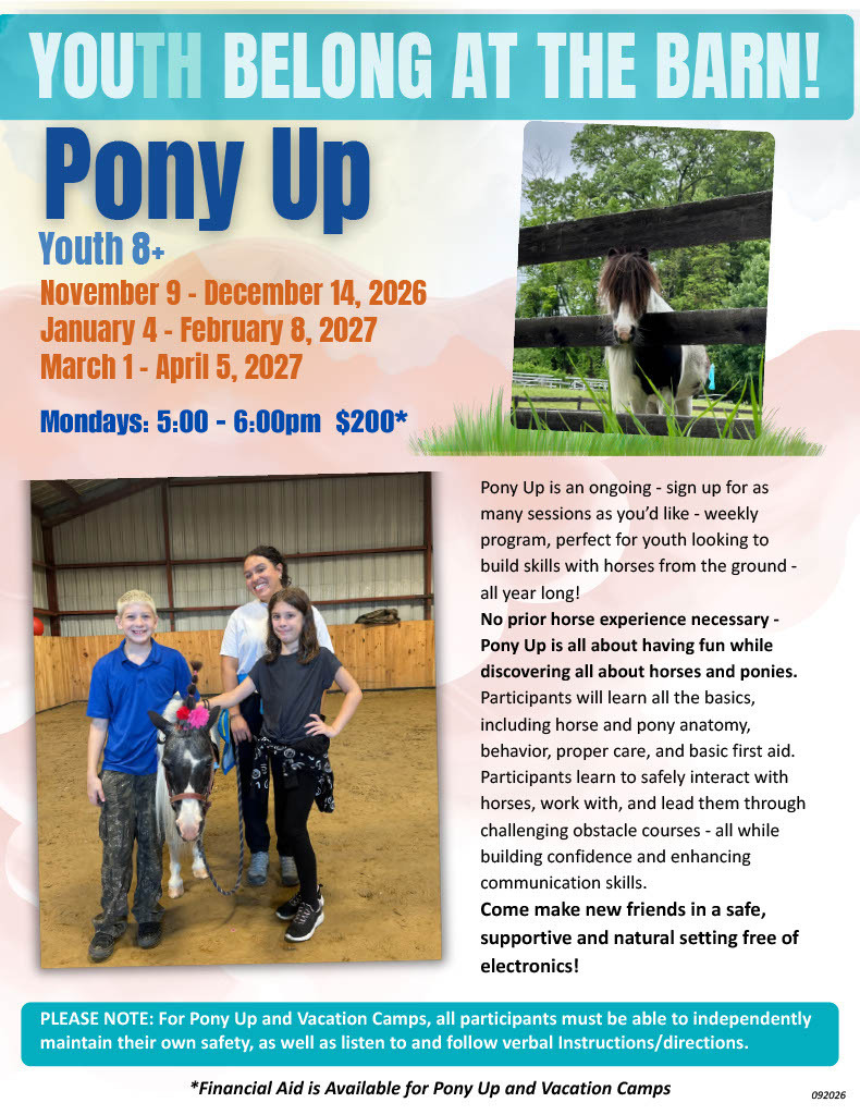 pony1