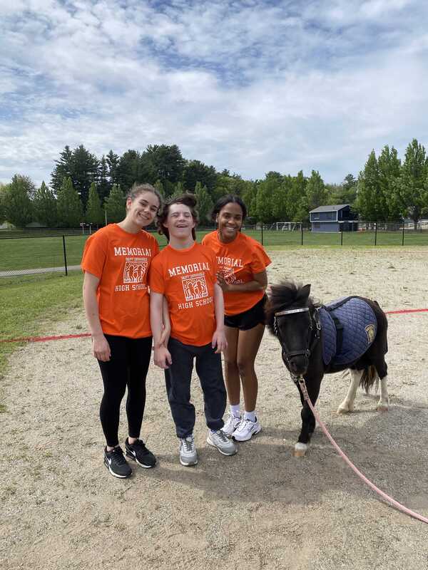 horse