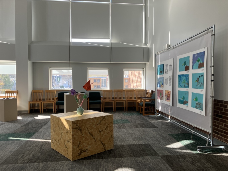 Sea turtle artwork created by Central High adaptive art students