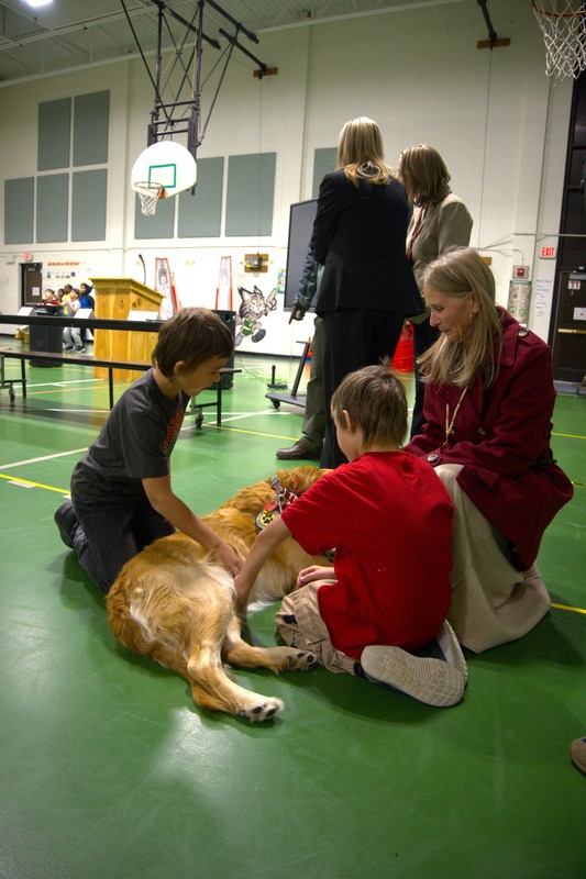 Nick the comfort dog greets children at ward 5 connect event