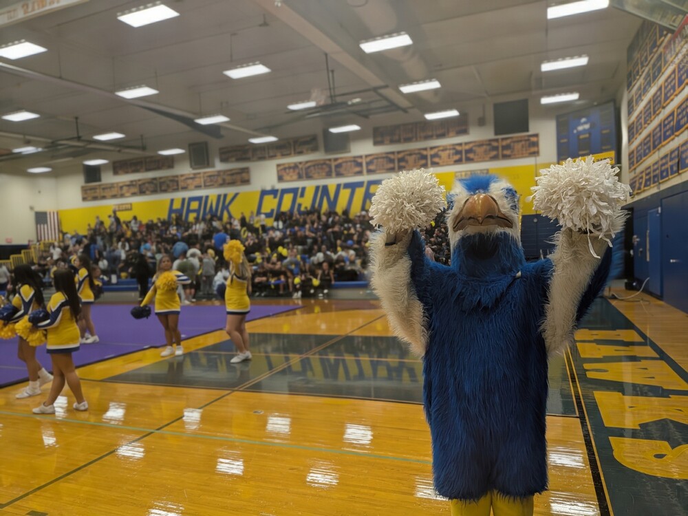 Hawks mascot at pep rally