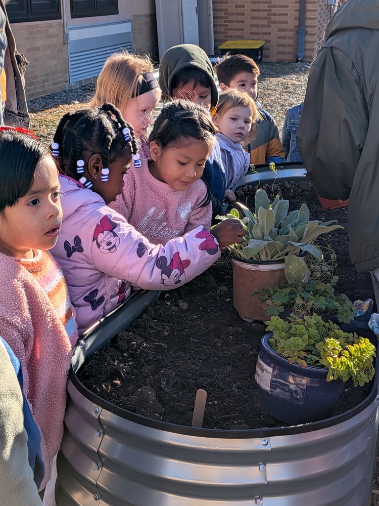 RES students gather around plants in a raised garden bed