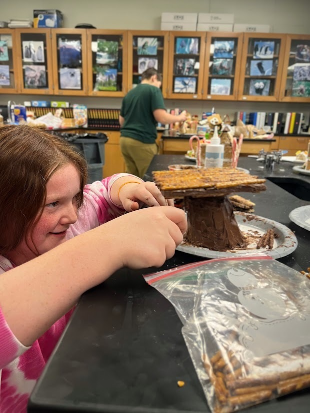 MTMS Science STEM Holiday Structures