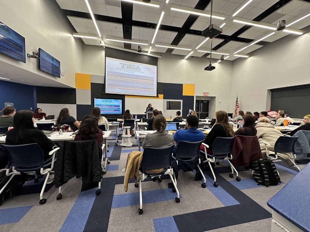 TESA TRAINING NOVEMBER 2025