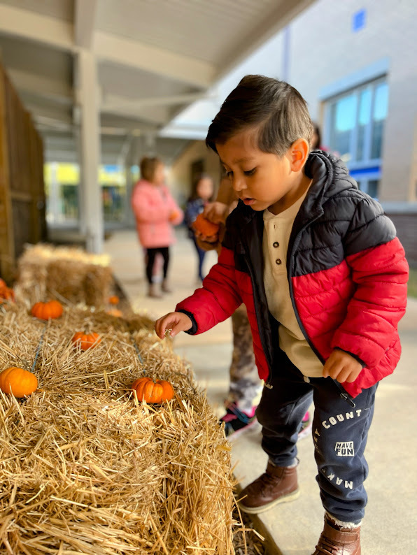 WES Preschool Pumpkin Patch
