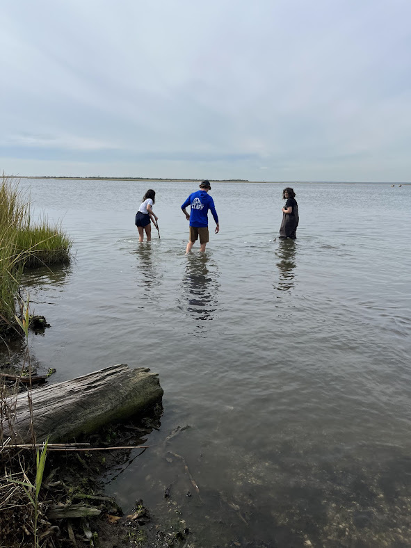 MTMS Eco Explorers to IBSP 9.25
