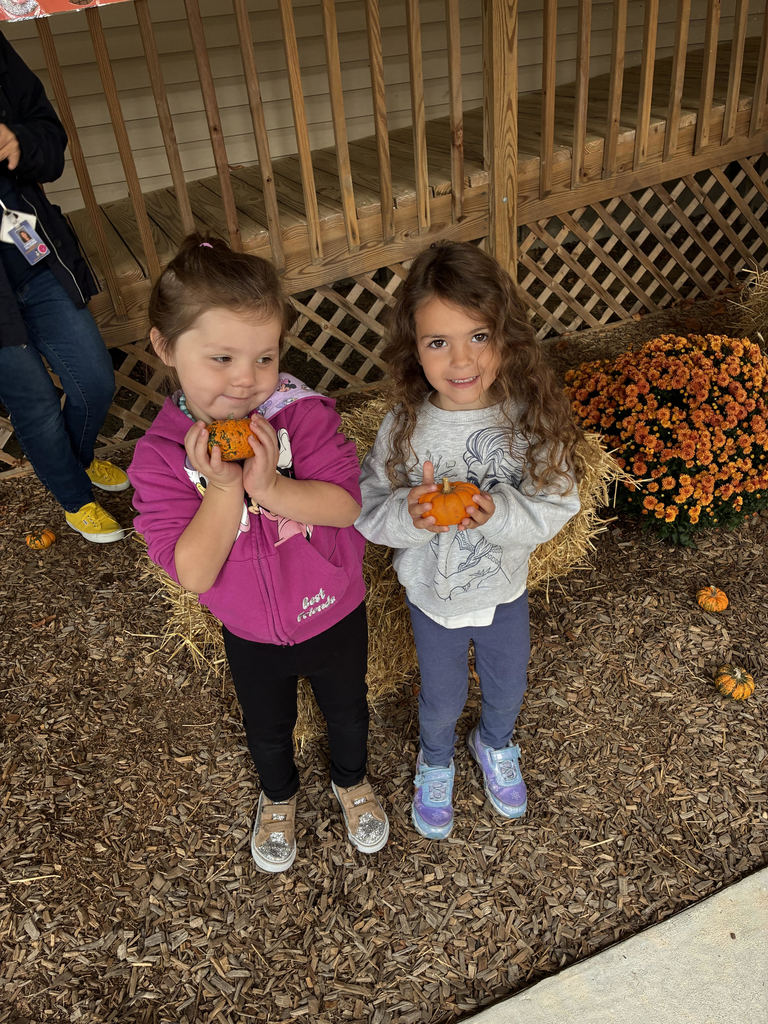WES PUMPKIN PATCH CATALDO 1
