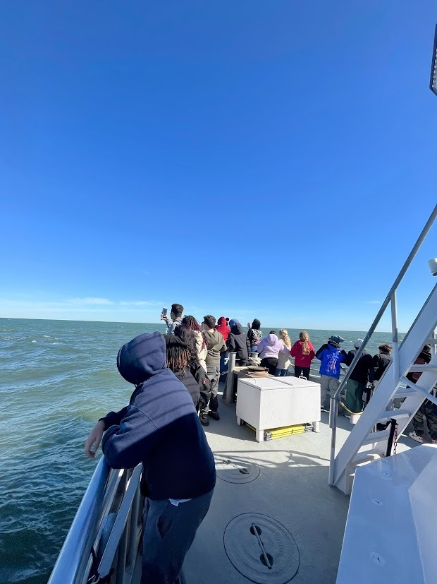 MTMS ECO EXPLORERS GO WHALE WATCHING