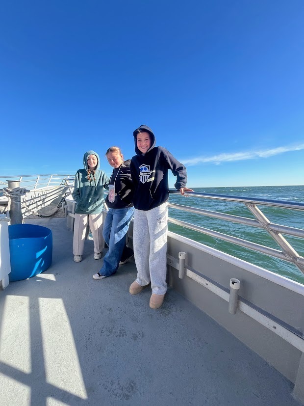 MTMS ECO EXPLORERS GO WHALE WATCHING