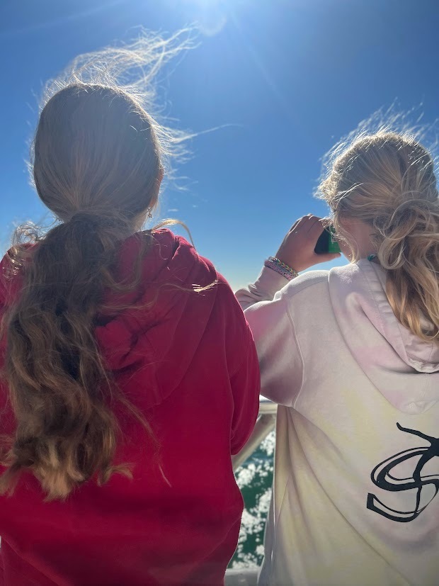 MTMS ECO EXPLORERS GO WHALE WATCHING