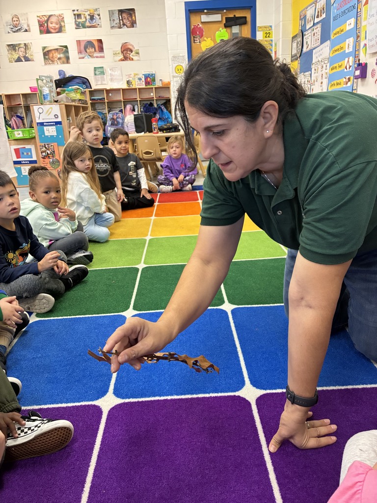 Whiting Preschool students explored trees this fall as part of their Creative Curriculum. They enjoyed nature walks, pumpkin patches, and a visit from a Cloverdale Parks Naturalist who shared local tree knowledge and hands-on learning with the classes.