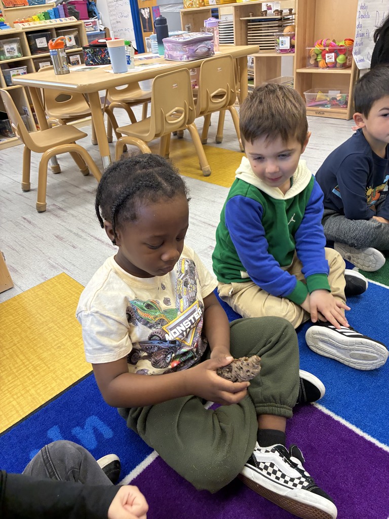 Whiting Preschool students explored trees this fall as part of their Creative Curriculum. They enjoyed nature walks, pumpkin patches, and a visit from a Cloverdale Parks Naturalist who shared local tree knowledge and hands-on learning with the classes.
