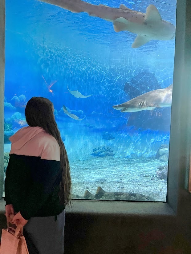 jenks 2025 mtms visit