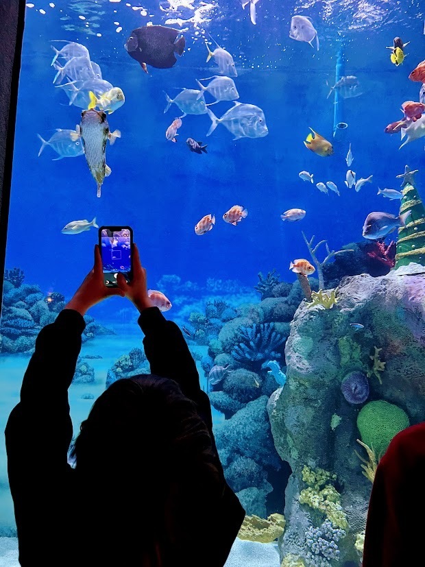 jenks 2025 mtms visit