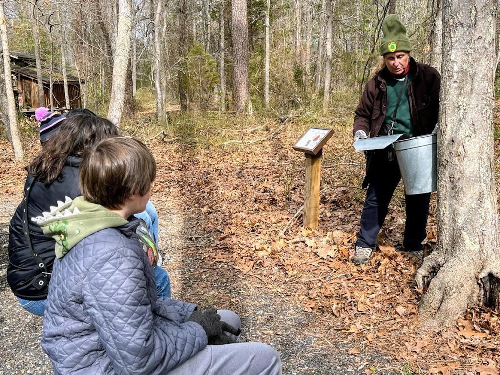 MTMS Eco Explorers go Maple Syrupping