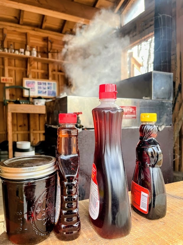 MTMS Eco Explorers go Maple Syrupping