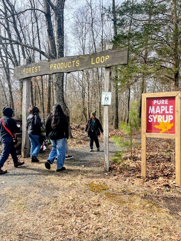 MTMS Eco Explorers go Maple Syrupping
