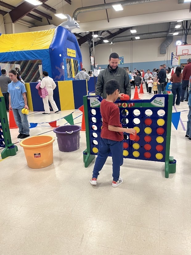 RES DOLPHIN FEST 2026