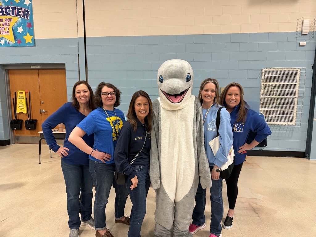 RES DOLPHIN FEST 2026