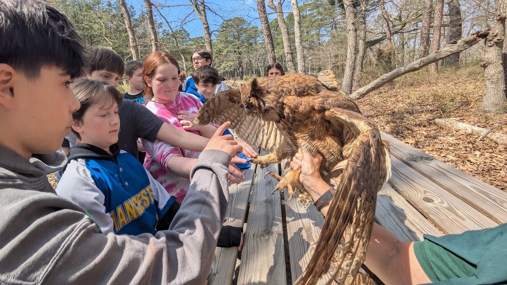 Eco Explorers took learning outdoors at the Forest Resource Education Center—discovering wildlife, ecosystems, and the importance of conservation in the Pine Barrens. 🌲🦊 Read more about their hands-on adventure on our website!