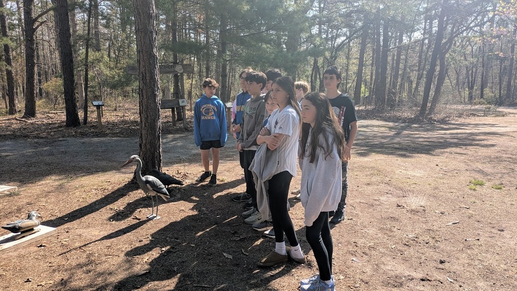 Eco Explorers took learning outdoors at the Forest Resource Education Center—discovering wildlife, ecosystems, and the importance of conservation in the Pine Barrens. 🌲🦊 Read more about their hands-on adventure on our website!
