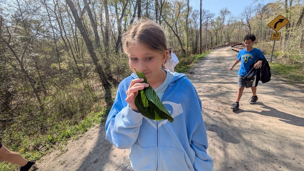 Eco Explorers took learning outdoors at the Forest Resource Education Center—discovering wildlife, ecosystems, and the importance of conservation in the Pine Barrens. 🌲🦊 Read more about their hands-on adventure on our website!