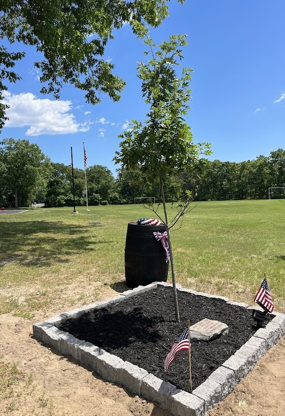 MTMS LIBERTY TREE DEDICATION