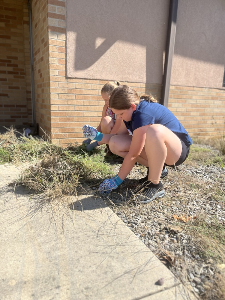 RES GARDEN REFRESH
