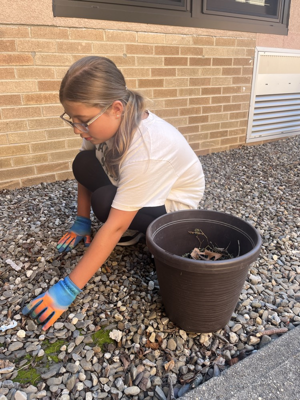 RES Garden Refresh