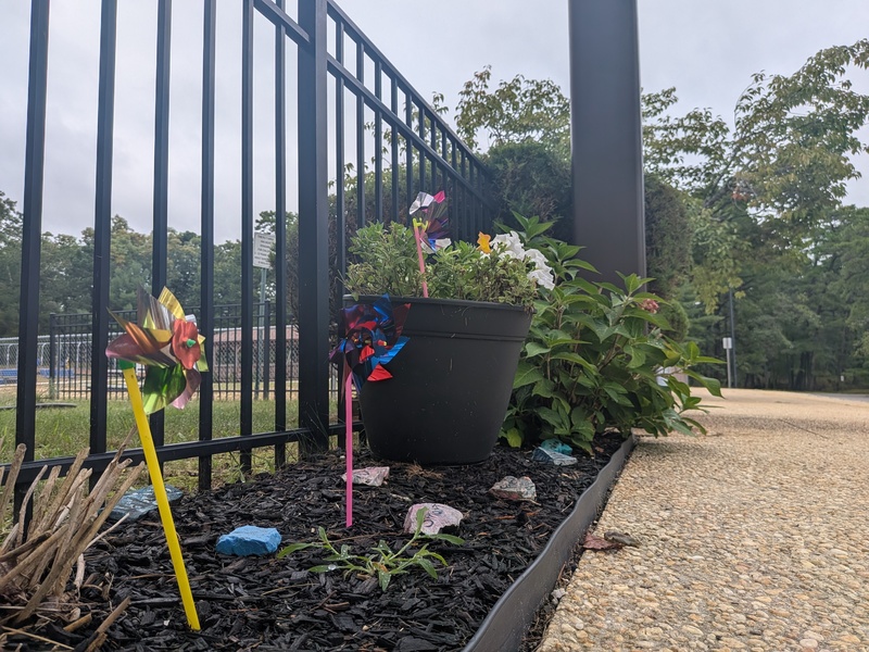 Pinwheels on display in front of the school