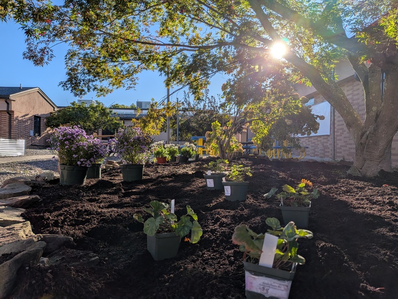 A shot of the courtyard garden
