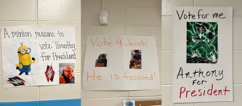Campaign posters for RDS student council