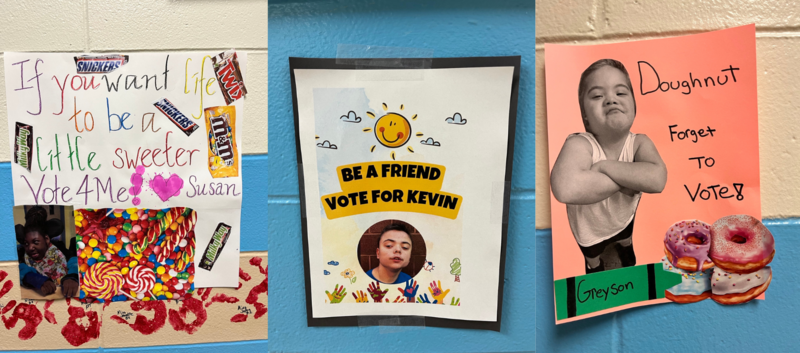 Campaign posters for RDS student council