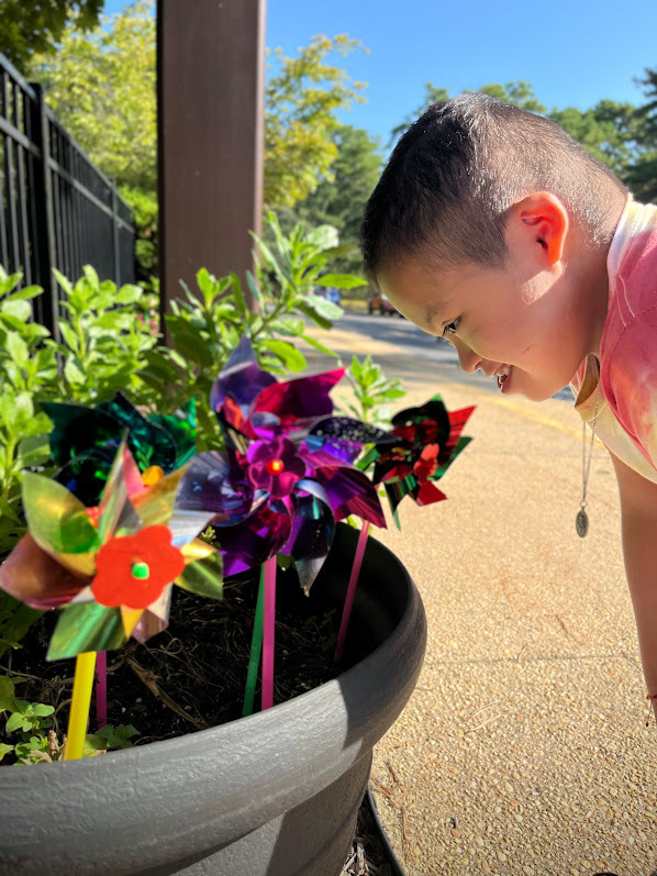 RDS PINWHEELS FOR PEACE 20255