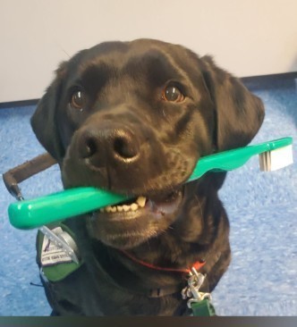 RDS Staff of the Month