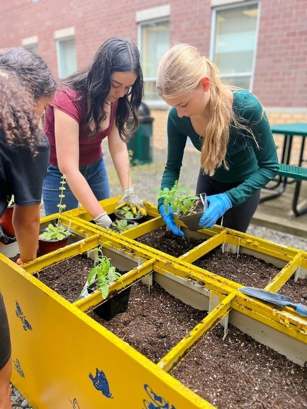 MTMS MUSTANG MEADOWS BUTTERFLY GARDEN