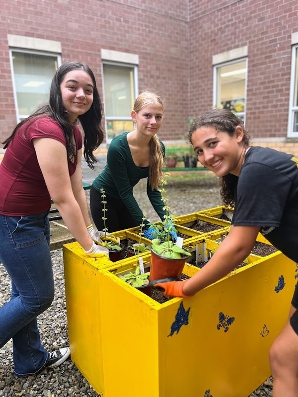 MTMS MUSTANG MEADOWS BUTTERFLY GARDEN