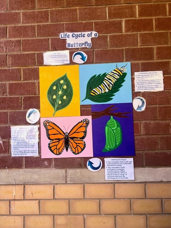 MTMS MUSTANG MEADOWS BUTTERFLY GARDEN