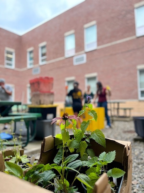 MTMS MUSTANG MEADOWS BUTTERFLY GARDEN