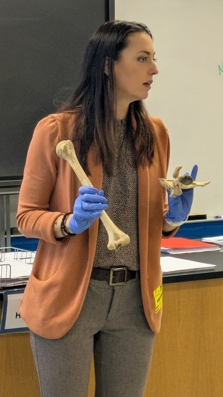 NJSP TO MTMS - SCIENCE LESSONNJSP TO MTMS 