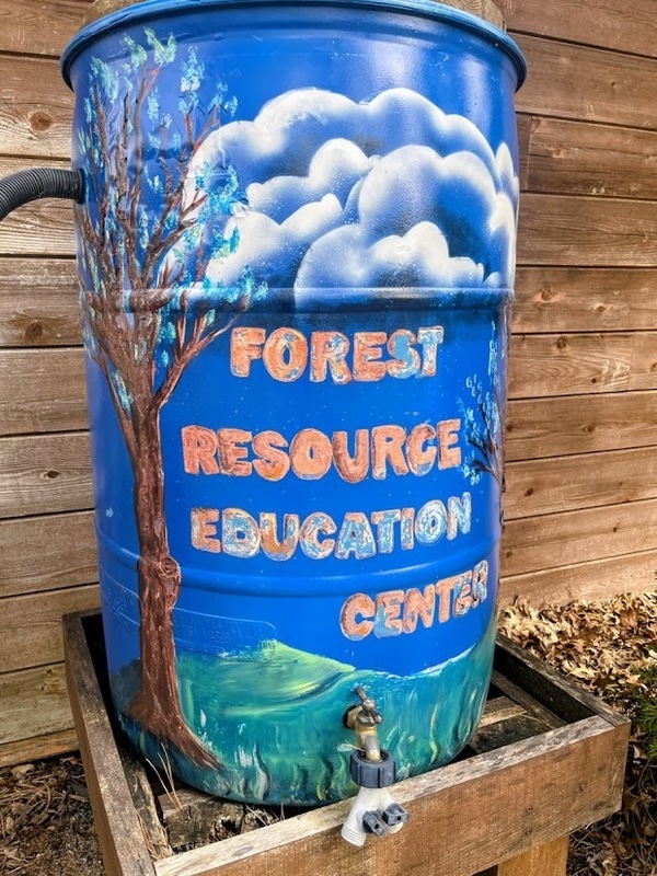 MTMS Eco Explorers Go Maple Syrupping