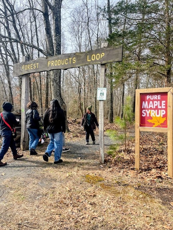 MTMS Eco Explorers Go Maple Syrupping