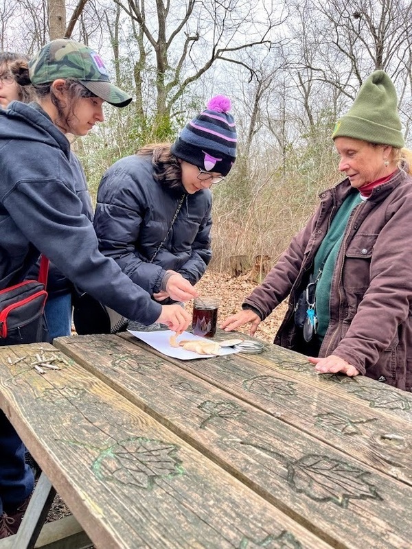 MTMS Eco Explorers Go Maple Syrupping