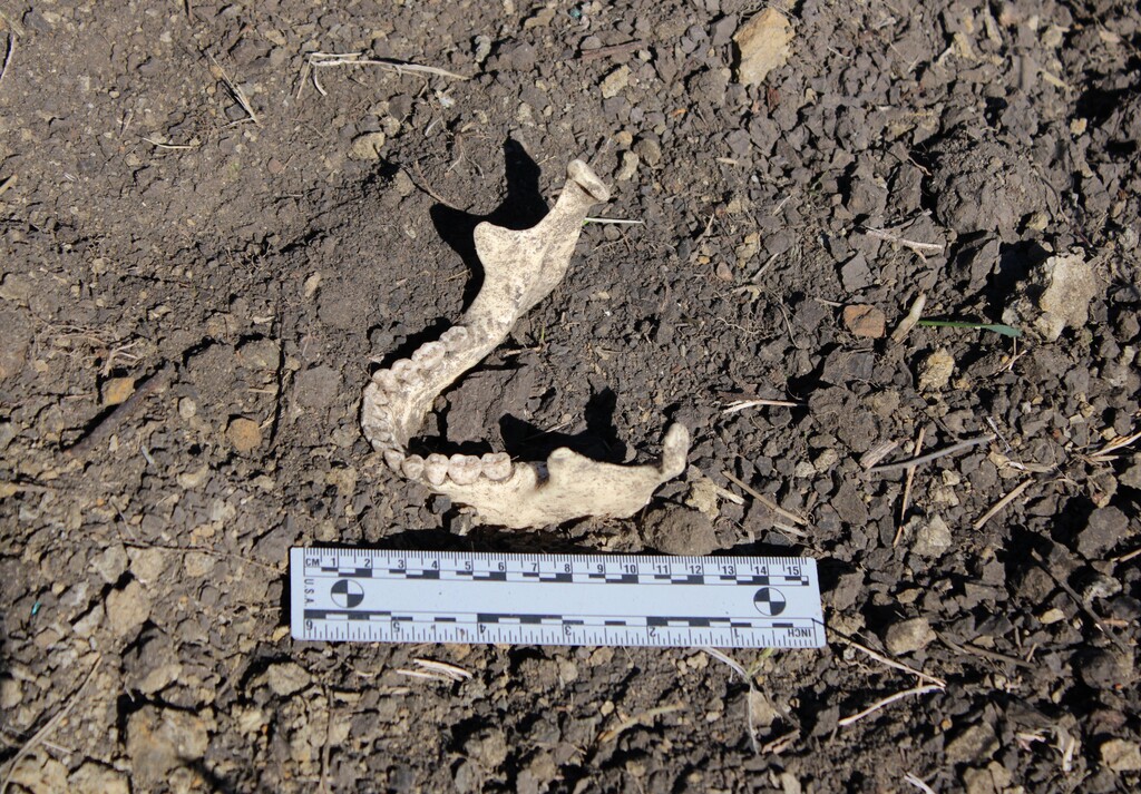 Archaeology 