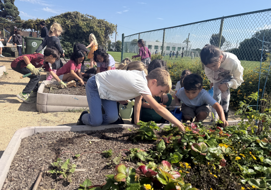 LiveWell Garden Program