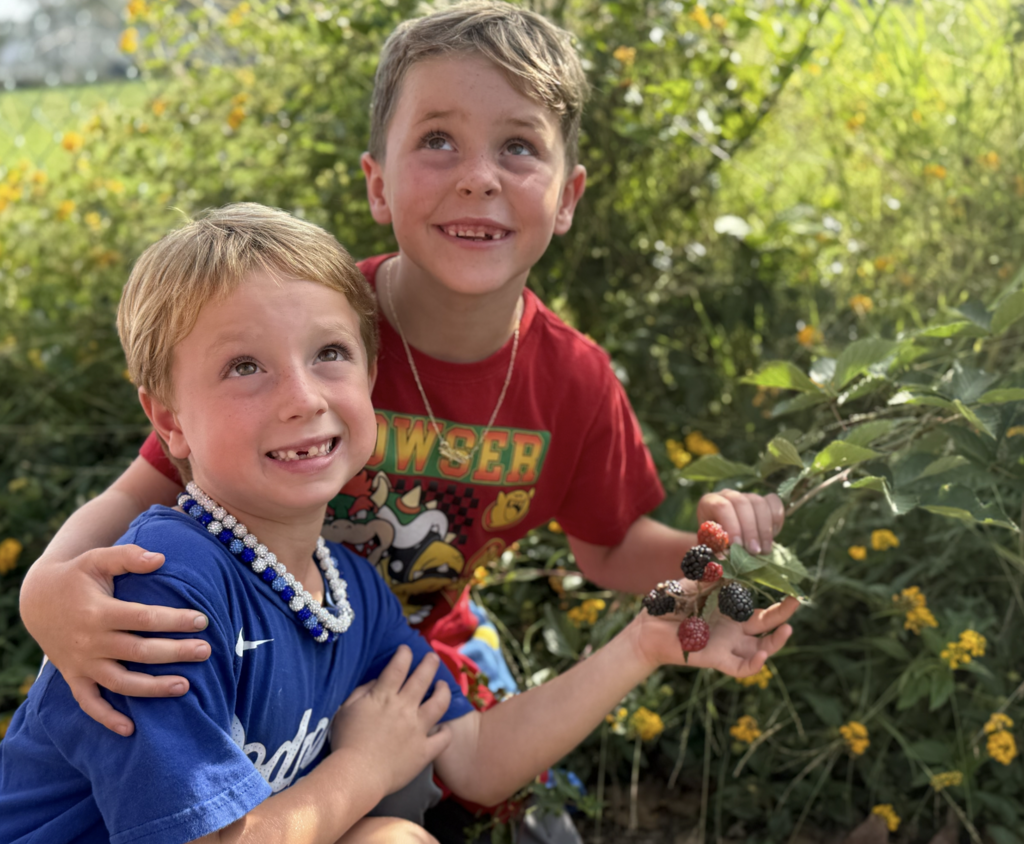 LiveWell Garden Program